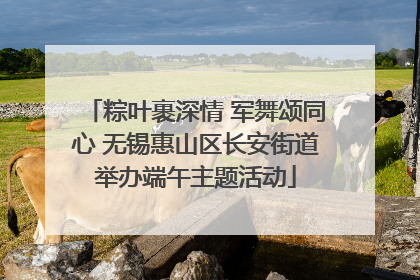 粽叶裹深情 军舞颂同心 无锡惠山区长安街道举办端午主题活动
