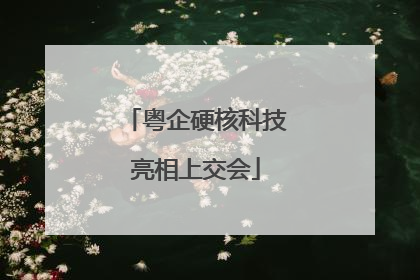 粤企硬核科技亮相上交会