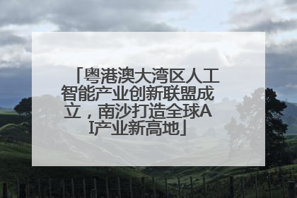 粤港澳大湾区人工智能产业创新联盟成立，南沙打造全球AI产业新高地