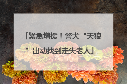 紧急增援！警犬“天狼”出动找到走失老人
