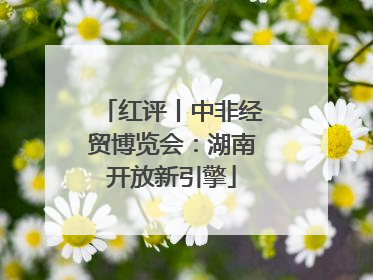 红评丨中非经贸博览会：湖南开放新引擎