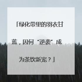绿化带里的羽衣甘蓝，因何“逆袭”成为茶饮新宠？