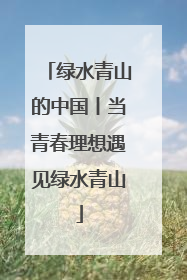 绿水青山的中国丨当青春理想遇见绿水青山