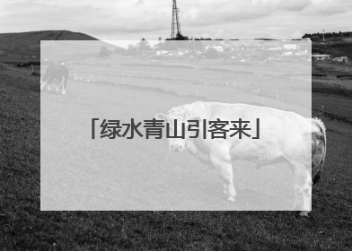 绿水青山引客来