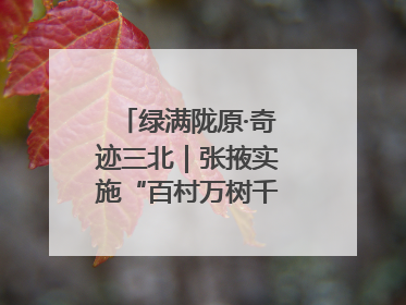 绿满陇原·奇迹三北｜张掖实施“百村万树千里林”工程