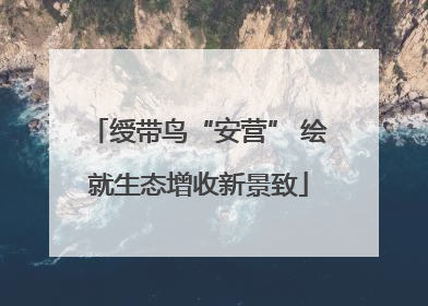 绶带鸟“安营” 绘就生态增收新景致
