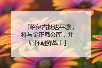 绍伊古抵达平壤，将与金正恩会面，并缅怀朝鲜战士