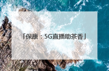 保康：5G直播助茶香