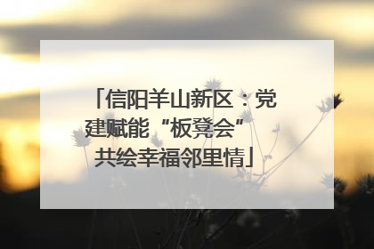 信阳羊山新区：党建赋能“板凳会” 共绘幸福邻里情