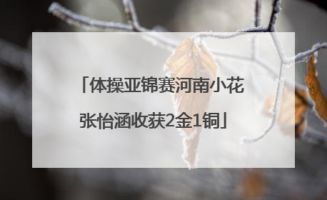 体操亚锦赛河南小花张怡涵收获2金1铜