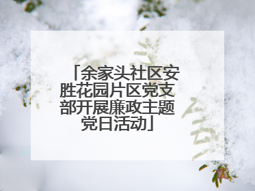 余家头社区安胜花园片区党支部开展廉政主题党日活动