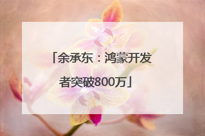 余承东：鸿蒙开发者突破800万