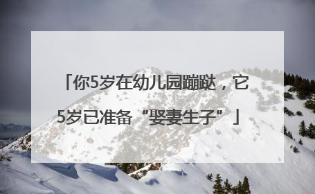 你5岁在幼儿园蹦跶，它5岁已准备“娶妻生子”