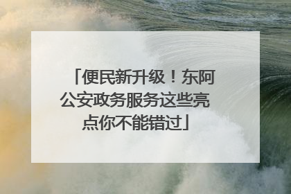 便民新升级！东阿公安政务服务这些亮点你不能错过