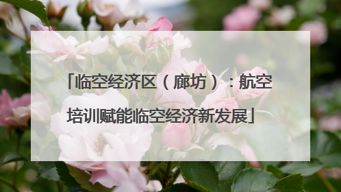 临空经济区（廊坊）：航空培训赋能临空经济新发展