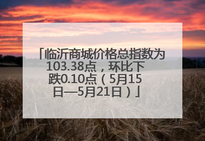 临沂商城价格总指数为103.38点，环比下跌0.10点（5月15日—5月21日）