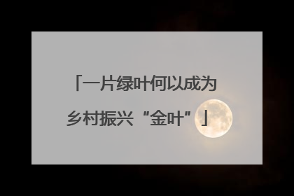 一片绿叶何以成为乡村振兴“金叶”