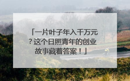 一片叶子年入千万元？这个日照青年的创业故事藏着答案！