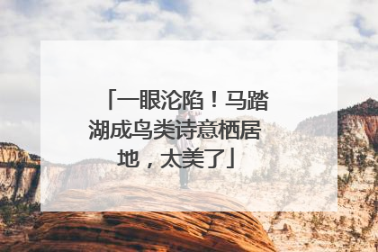 一眼沦陷！马踏湖成鸟类诗意栖居地，太美了