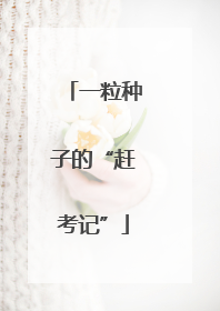 一粒种子的“赶考记”