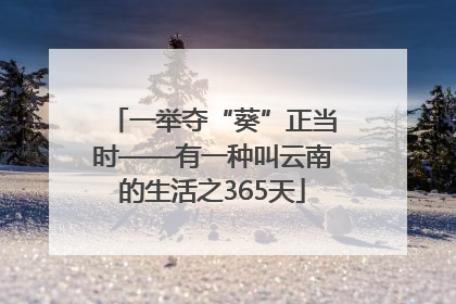 一举夺“葵”正当时——有一种叫云南的生活之365天