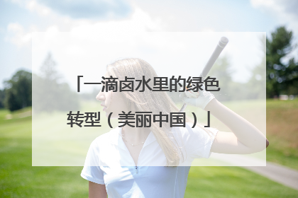 一滴卤水里的绿色转型（美丽中国）