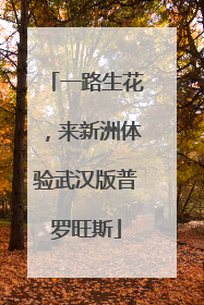 一路生花，来新洲体验武汉版普罗旺斯