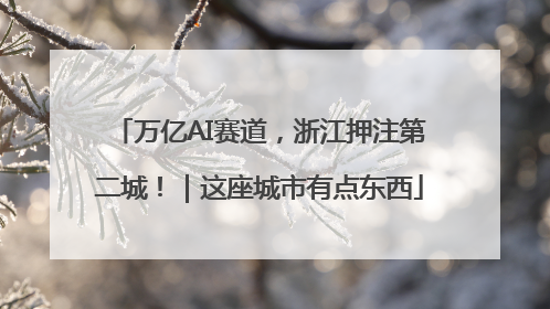 万亿AI赛道，浙江押注第二城！｜这座城市有点东西