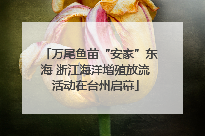 万尾鱼苗“安家”东海 浙江海洋增殖放流活动在台州启幕