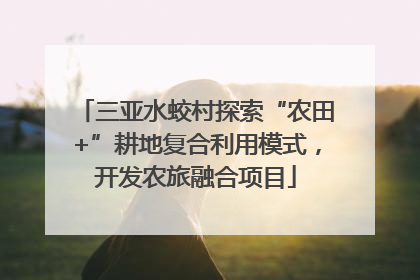 三亚水蛟村探索“农田+”耕地复合利用模式，开发农旅融合项目