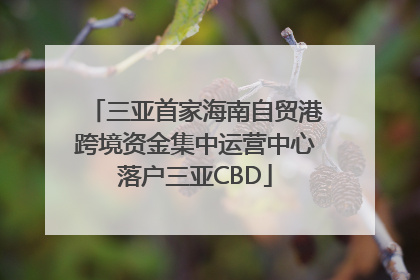 三亚首家海南自贸港跨境资金集中运营中心落户三亚CBD