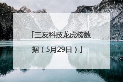 三友科技龙虎榜数据（5月29日）