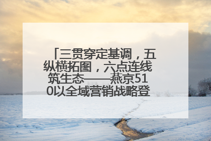 三贯穿定基调，五纵横拓图，六点连线筑生态——燕京510以全域营销战略登顶行业IP新高度