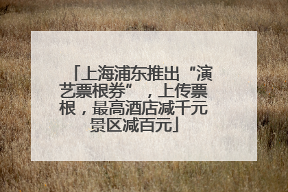 上海浦东推出“演艺票根券”，上传票根，最高酒店减千元景区减百元