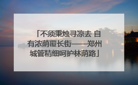 不须秉烛寻凉去 自有浓荫覆长街——郑州城管精细呵护林荫路