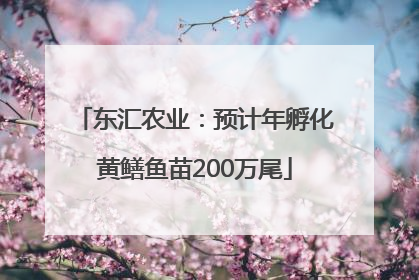 东汇农业：预计年孵化黄鳝鱼苗200万尾