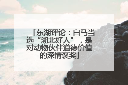 东湖评论：白马当选“湖北好人”，是对动物伙伴道德价值的深情褒奖