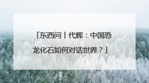 东西问丨代辉：中国恐龙化石如何对话世界？