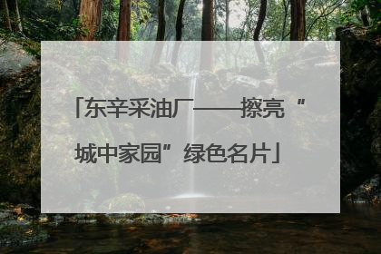 东辛采油厂——擦亮“城中家园”绿色名片
