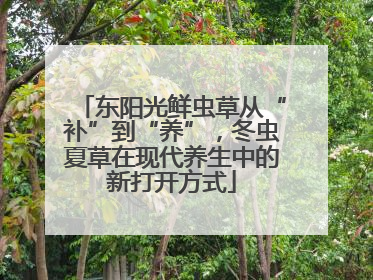 东阳光鲜虫草从“补”到“养”，冬虫夏草在现代养生中的新打开方式
