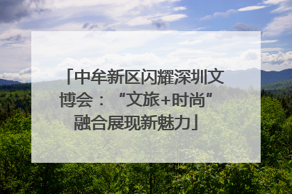 中牟新区闪耀深圳文博会：“文旅+时尚”融合展现新魅力