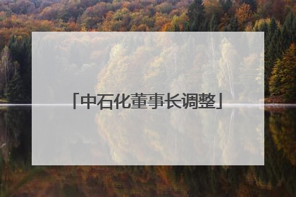 中石化董事长调整