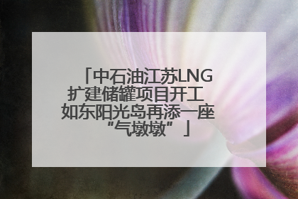 中石油江苏LNG扩建储罐项目开工 如东阳光岛再添一座“气墩墩”