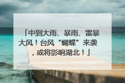 中到大雨、暴雨、雷暴大风！台风“蝴蝶”来袭，或将影响湖北！