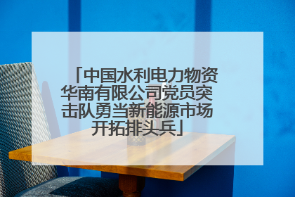 中国水利电力物资华南有限公司党员突击队勇当新能源市场开拓排头兵