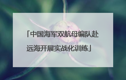 中国海军双航母编队赴远海开展实战化训练