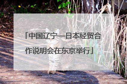 中国辽宁—日本经贸合作说明会在东京举行