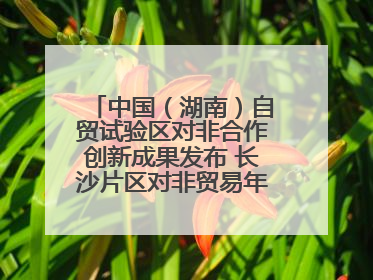 中国（湖南）自贸试验区对非合作创新成果发布 长沙片区对非贸易年均增长141%