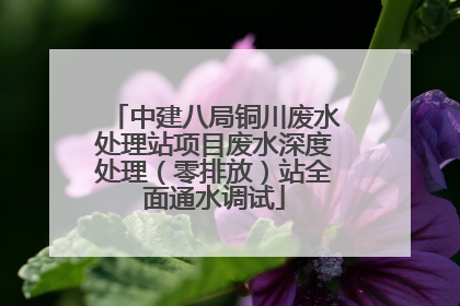 中建八局铜川废水处理站项目废水深度处理（零排放）站全面通水调试