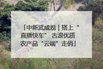 中新武威观｜搭上“直播快车” 古浪优质农产品“云端”走俏